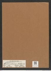 Coscinodiscus tuberculatus var. monicae Grev. (de-Toni-Nr.: Genus 202, Species 4918) Zeichnungen Sammlung Grunow Mappe 04746 (Herbarium_W_Grunow_drawings_Folder_04746)